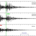 seismic